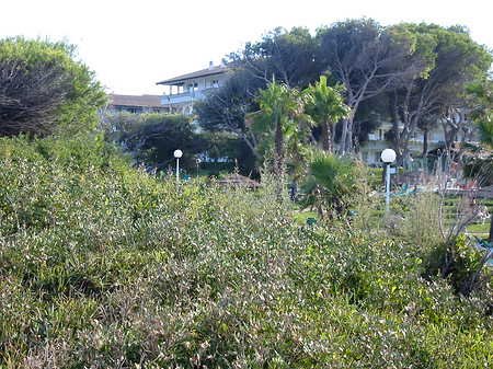 Liegestühle auf der Wiese