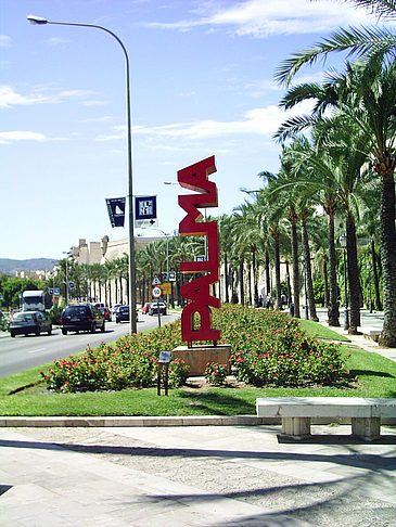 Fotos Palma | Palma de Maljorka