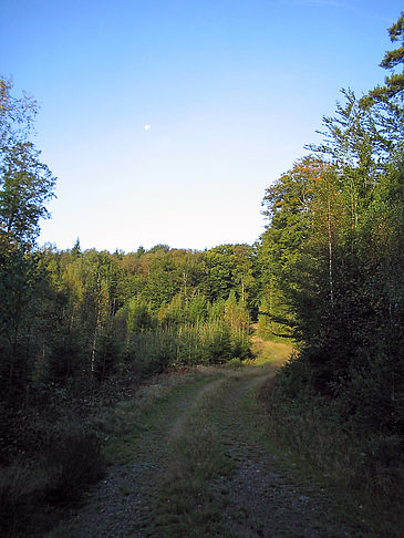 Natur - Schweden