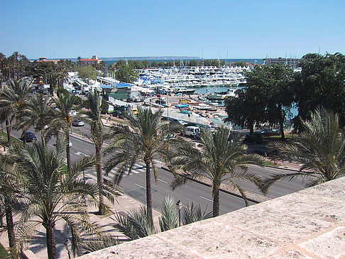 Fotos Blick über Mallorca | 