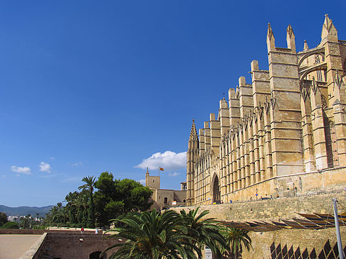 Fotos Die Kathedrale | Palma de Maljorka