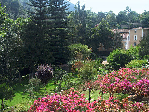 Foto La Granja - Esporlas