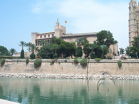 Fotos La Seu | Palma de Maljorka