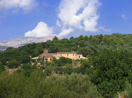 Foto Weg nach Palma