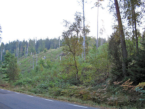 Natur - Schweden