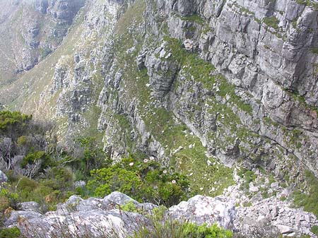 Kapstadt und Umgebung - Westliches Kap