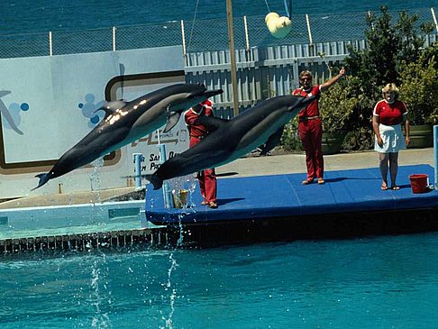 Fotos Marineland